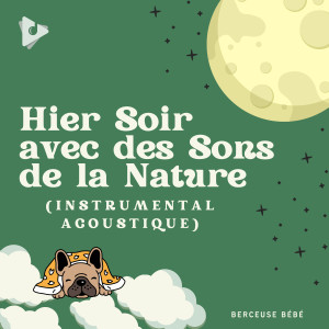 Hier Soir avec des Sons de la Nature (Instrumental Acoustique)