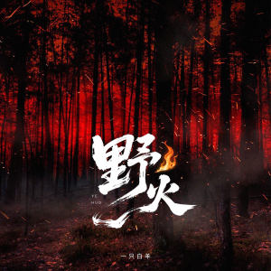 Album 野火 from 一只白羊