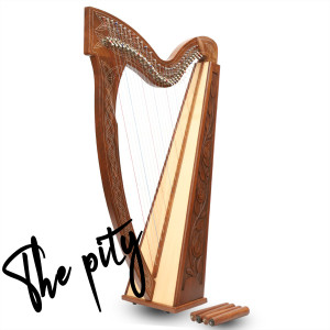 Hortus Musicus的专辑The Pity