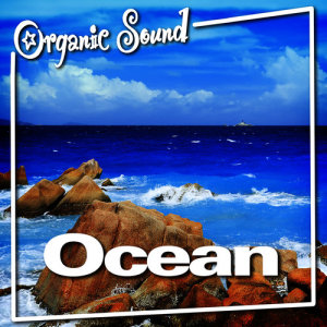 收聽Organic Sound的Seaside Nature Sound for Deep Relaxation and Meditation歌詞歌曲