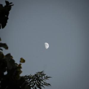 Listen to Moon song with lyrics from WINTERPOOR