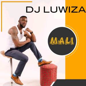 收聽DJ LUWIZA的Mali歌詞歌曲
