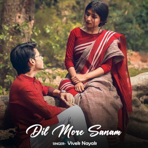 Album Dil More Sanam from 