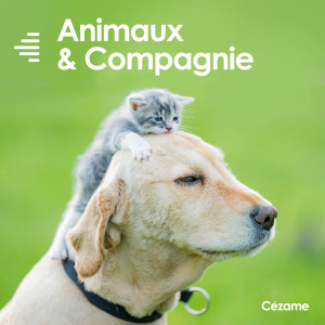 Album Animaux & Compagnie from Various