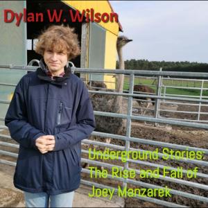 Listen to The End of The Show (Hollywood is Dead) song with lyrics from Dylan W. Wilson