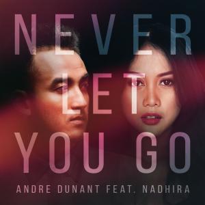 Listen to Never Let You Go song with lyrics from Andre Dunant