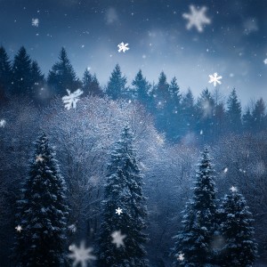 อัลบัม Music For Deep Sleep: Gentle Melodies For Restful Nights ศิลปิน Relaxing Night Sleep