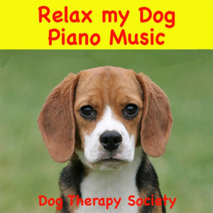 收听Dog Therapy Society的Licking My Way Back to You歌词歌曲