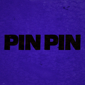 Album Pin Pin (Arm's Version) [Explicit] from ALEMVN