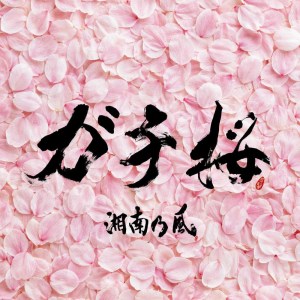 Album Gachizakura from 湘南乃风