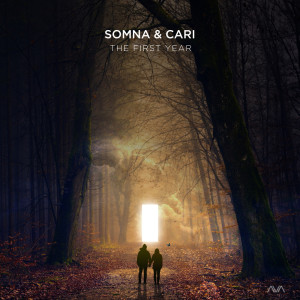 Listen to The First Year (混音) song with lyrics from Somna