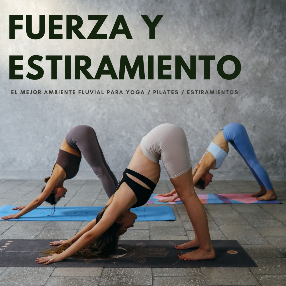 Yoga Y Pilates
