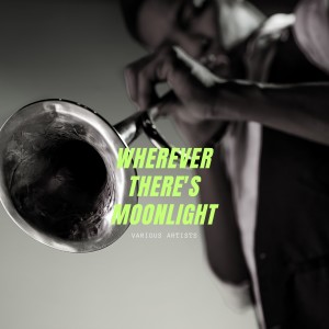ดาวน์โหลดและฟังเพลง Wherever There's Moonlight พร้อมเนื้อเพลงจาก WILFRED EDWARDS