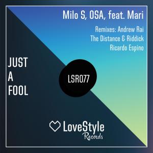 收聽Milo S.的Just a Fool (Andrew Rai Remix)歌詞歌曲