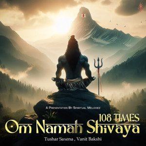 Vanit Bakshi的專輯Om Namah Shivaya 108 Times