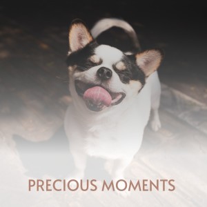 Listen to Hush Little Girl song with lyrics from Billy & The Essentials