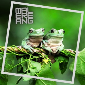 ดาวน์โหลดและฟังเพลง Dj Kodok Lama Lama Asyik พร้อมเนื้อเพลงจาก MALEREANG