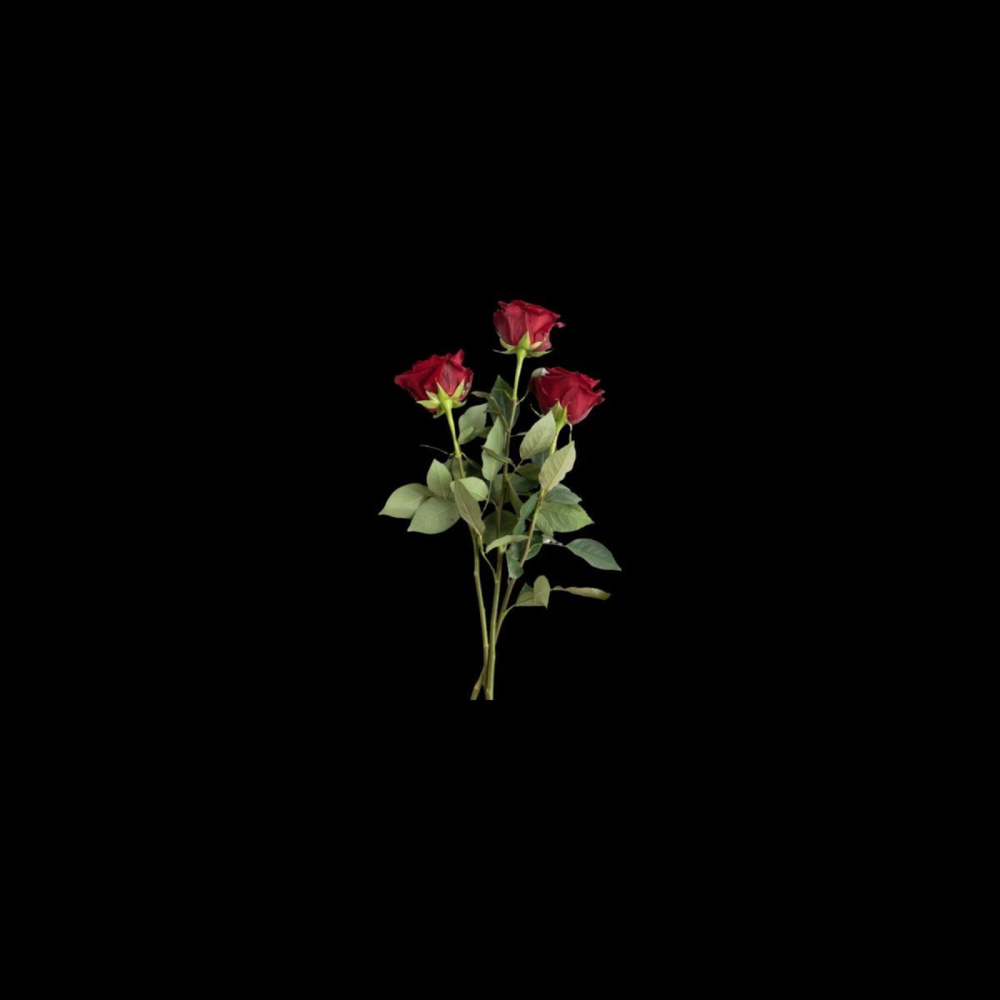 Zu Dir (Explicit)