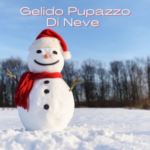 Various  Artists的專輯Gelido Pupazzo Di Neve