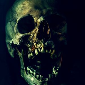 收聽Carvings的Hostile歌詞歌曲