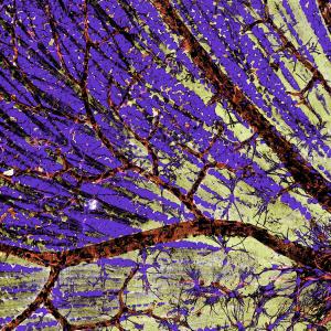 ดาวน์โหลดและฟังเพลง War (Explicit) พร้อมเนื้อเพลงจาก Seedy