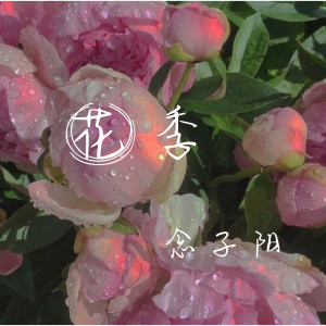 收听念子阳的花季 (伴奏)歌词歌曲