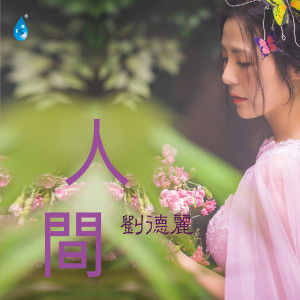 人间 dari 雨林音乐