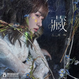 Listen to 藏 (伴奏) song with lyrics from 王雨桐