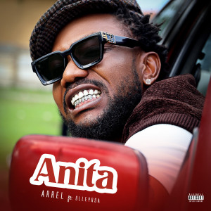 ดาวน์โหลดและฟังเพลง Anita (Explicit) พร้อมเนื้อเพลงจาก Arrel