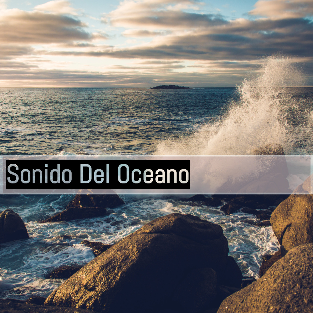 Sonido Del Oceano