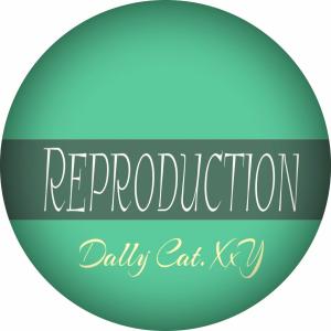 Listen to Reproduction song with lyrics from Dally Cat.XxY