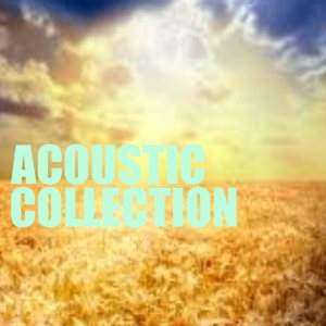 收聽Acoustic Lionel Richie的Say You, Say Me歌詞歌曲