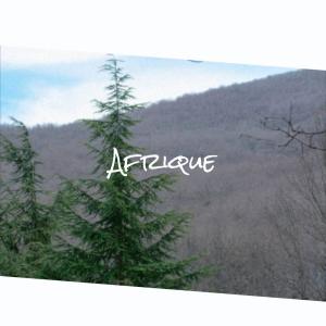 收聽Raam Pricha的Estuarine Perspective歌詞歌曲