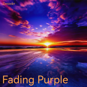 Zaminder的专辑Fading Purple