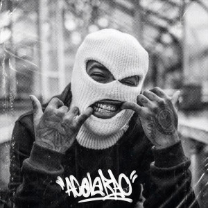 Various Artists的專輯Acelerao (Explicit)