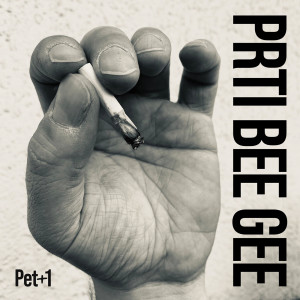 收聽Prti Bee Gee的Počasna turneja (feat. DJ Mrki)歌詞歌曲