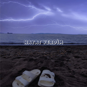 Album Hayat Verdim from Feode