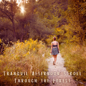 Spa Music Collective的專輯Tranquil Afternoon Stroll Through the Forest