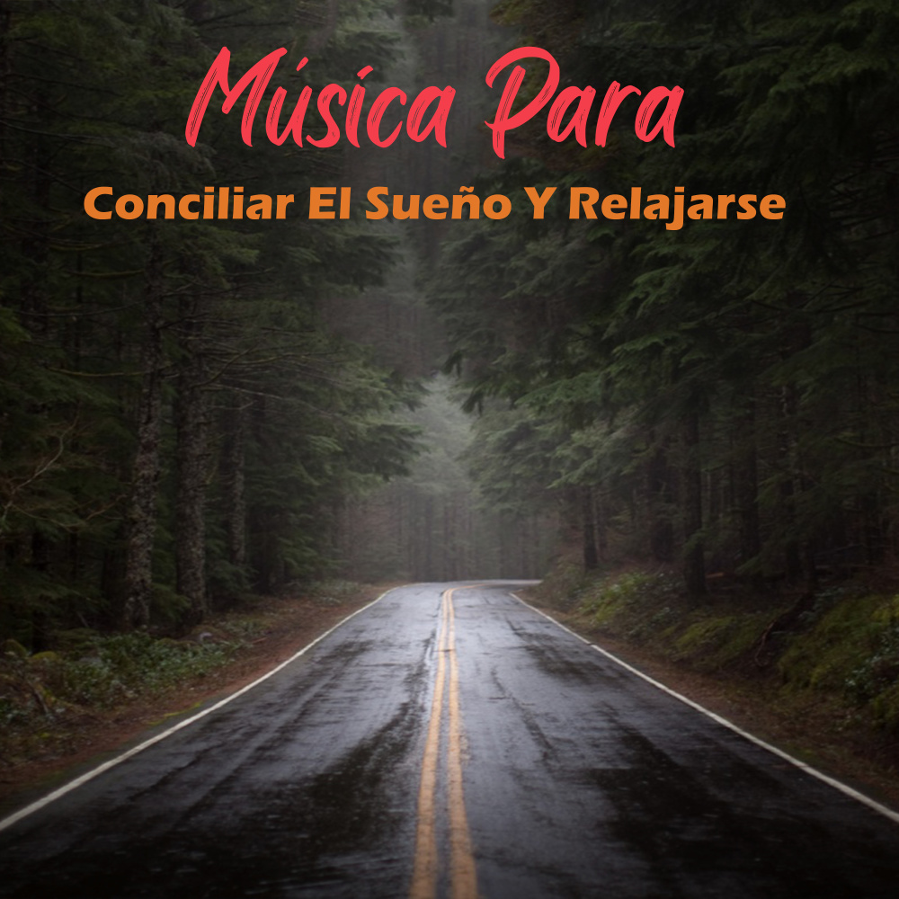 Música Para Conciliar El Sueño Y Relajarse