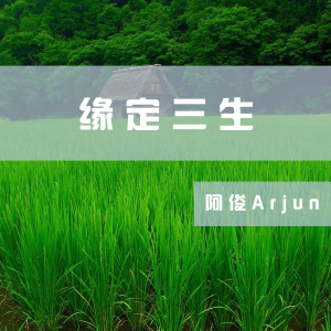 Listen to 缘定三生 (伴奏) song with lyrics from 阿俊Arjun