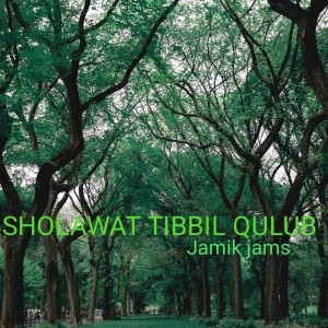 收聽Jamik Jams的Sholawat Tibbil Qulub歌詞歌曲