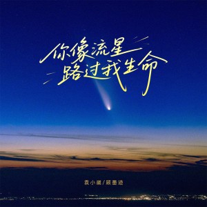 收听袁小葳的你像流星路过我生命歌词歌曲