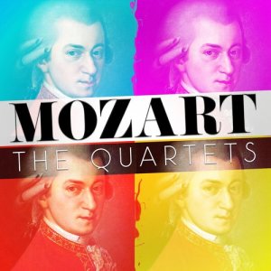 ดาวน์โหลดและฟังเพลง String Quartet No. 15 in D Minor, K. 421: I. Allegro พร้อมเนื้อเพลงจาก Mozarteum Quartet Salzburg