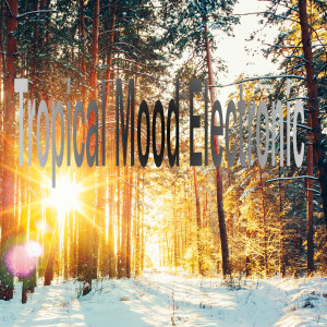 ดาวน์โหลดและฟังเพลง Tropical Mood Electronic พร้อมเนื้อเพลงจาก ikopin