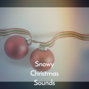 Various Artists的專輯Snowy Christmas Sounds