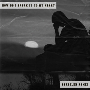 Beatzlen的專輯HOW DO I BREAK IT TO MY HEART (Remix)