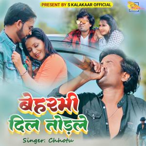 Listen to Berahmi Dil Torle song with lyrics from Chhotu