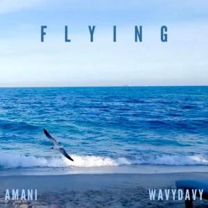 Album Flying (feat. WavyDavy) from Amani