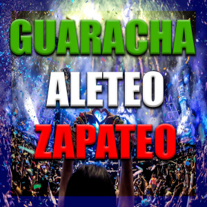 Album Guaracha Aleteo Zapateo from DJ Moys