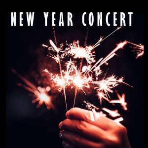 Album New Year Concert oleh Victor van Halem